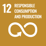 SDG Logo (12)