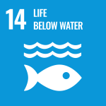 SDG Logo (14)