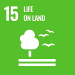 SDG Logo (15)